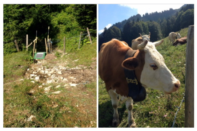 096BD4DE-79EC-4E20-9A64-12CA03E4DCFF