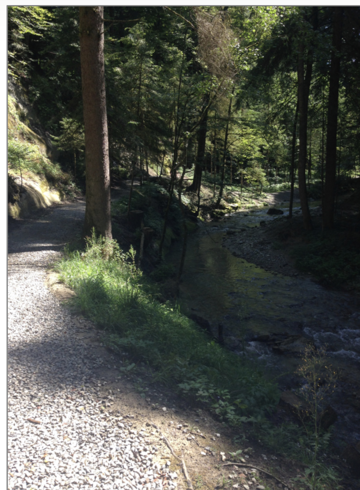 288E997B-127A-4BB2-863C-CB6EFF2B4C26