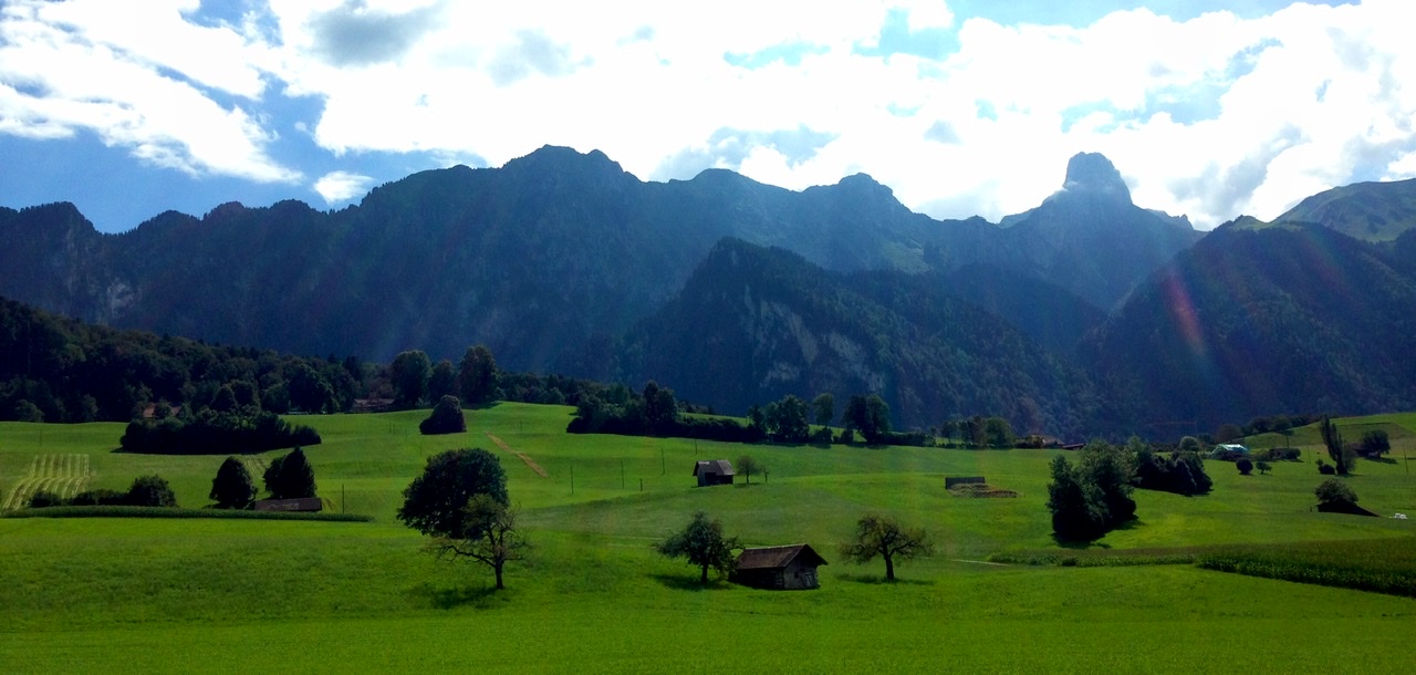 8E2F5084-F63E-4A04-9304-200D3E0B9B1C