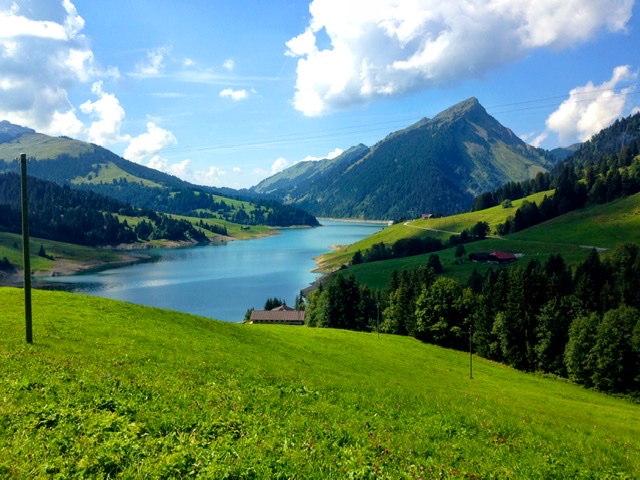 1EDEDBAD-755E-4B32-AD61-416739E25F14