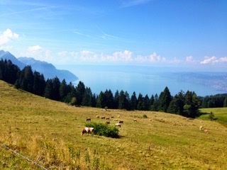 75060073-0AFF-4060-846C-5708371FDB83