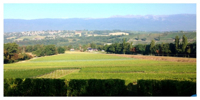 96C6E198-C418-4954-AE60-235CD16043AC