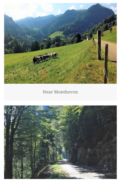 CC9A7ECC-34A8-492A-8AA4-3EAF5DC30E24