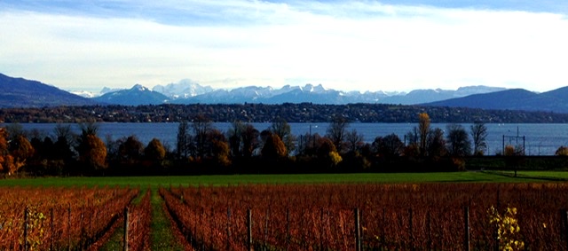 B0F6C3D7-0E01-4155-A75E-EBA91C1CF06E