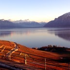 Route 1: Section 6 – cycling the Lavaux, Montreux to Morges, Switzerland