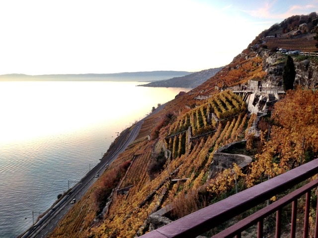 CEFA0549-1CDB-41F0-83DE-765C4002E9C2