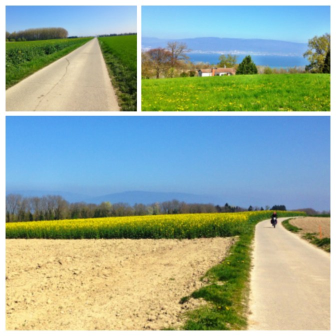 10B65DFF-E65B-4D01-B8DF-7E40E91D7E88