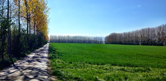 2155E4CB-E5DF-4FEE-BF53-30614E9A61EE