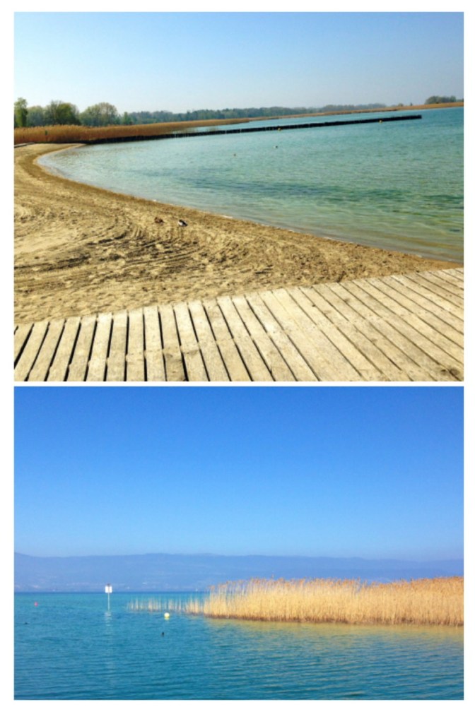 34AB15D2-B588-4CE1-96E6-69F9317D3999