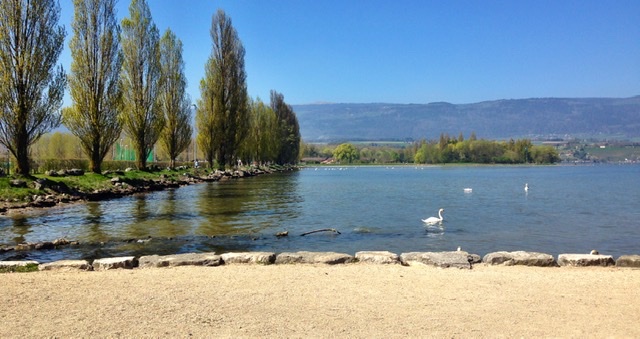 BD3204B0-F32D-4393-BE07-11A6AC011A34