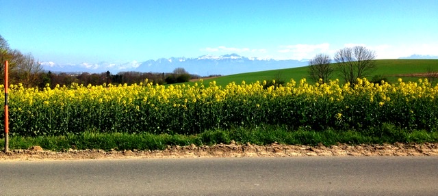 FC9B63CE-B23B-405D-A358-B27E577BA41D