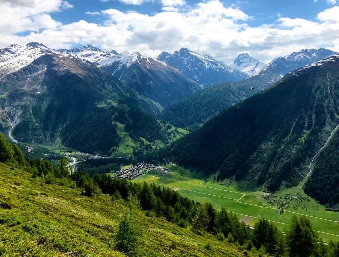 31360917-6693-4D1B-97B5-57C7A3DA9A3C