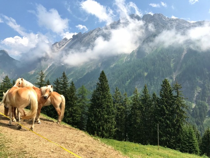 607F20E8-C205-45A6-A3F8-CA69C760D9FD