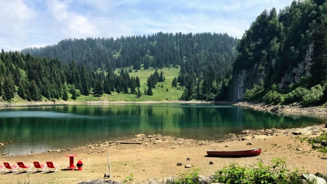 6CC7D7A3-BDD9-4F77-85FB-3807B88865AD