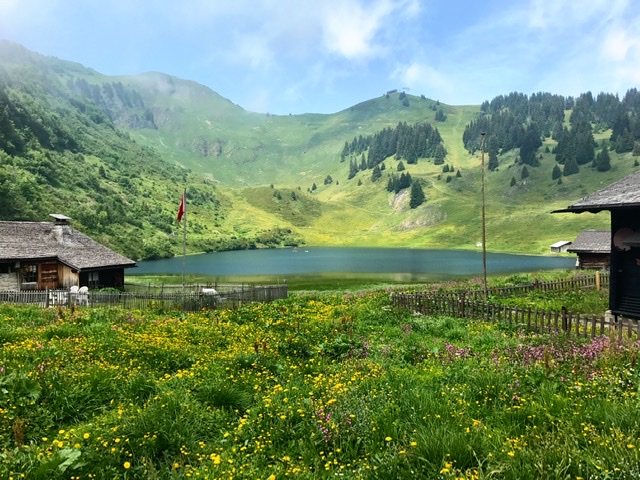 9BB07D95-7C60-444E-913B-58A8B12366BA