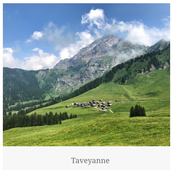 E31CA742-4372-4A6D-BB02-ABCA48758681