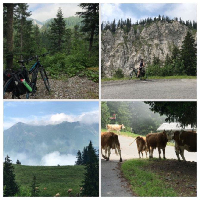 FF34FA46-D45E-412B-9BA4-9283FBA5FAC7