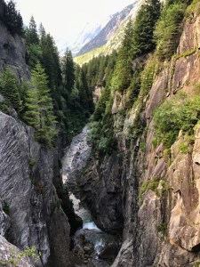 20567495-C3A4-4B5D-A4A7-2FFA0648242E