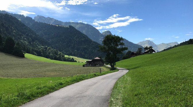 26A19B23-43D3-4E59-A985-1596BD9454CD