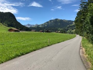 C4DB7D6A-08F9-482F-9E00-C189231509C5