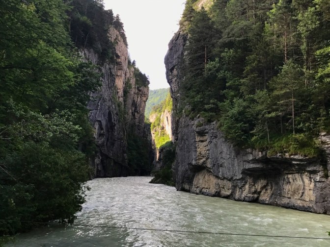 F1138527-A19B-448B-B6A7-42A66008B6BC