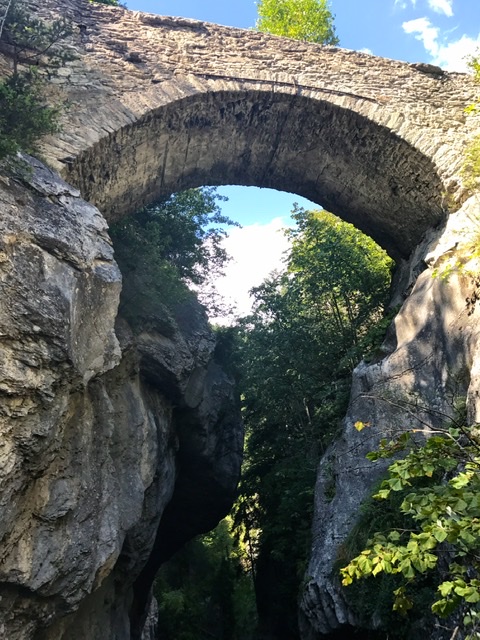 14163A34-7F4E-46CE-BEF8-58055F0B03BE