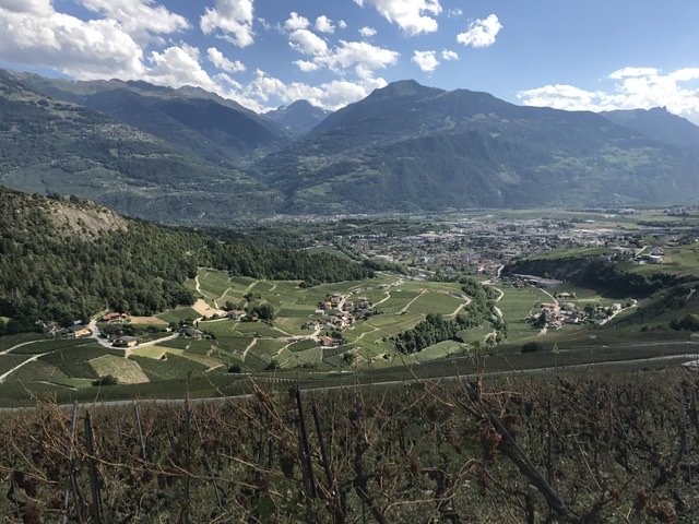 56E4328A-ED47-4B66-B6E3-446748B0573D