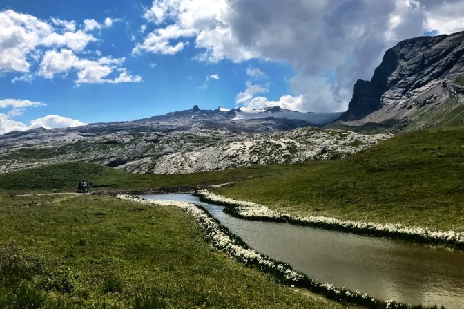 B8716BCE-4E2A-4FD7-857D-BECEBFC9CC2A