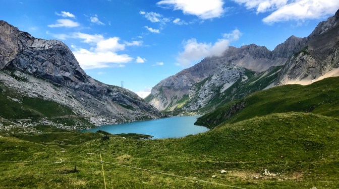 F27DD806-092C-4386-AC16-C7F26109F3EB