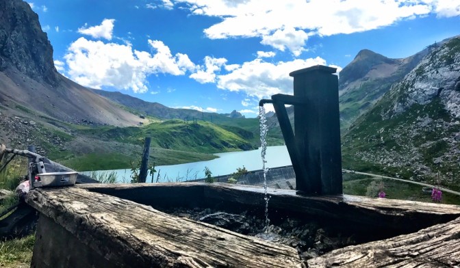 F539C454-2289-48DA-AE9E-5A4E721395AE