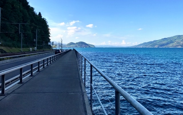 8DD019FF-8356-4719-8620-B74761B9B7B5