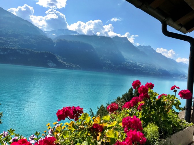 D837E3CE-A18C-46C3-8752-B1B5EF3A7584