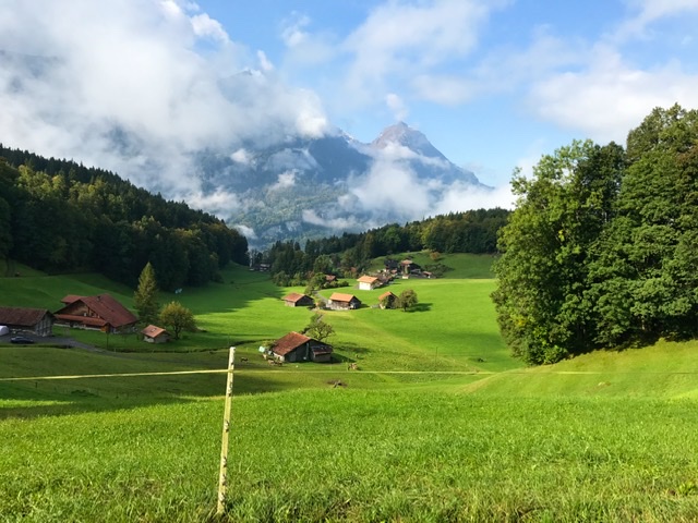 E2D45D74-A5AA-4D20-89BD-65B3F247D40A