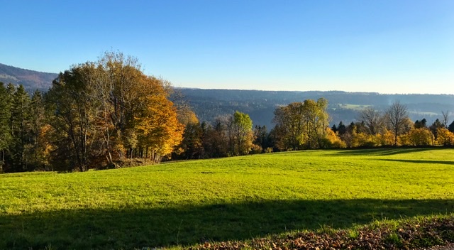 AF548E2F-3579-4C18-9D17-74BCE103711B