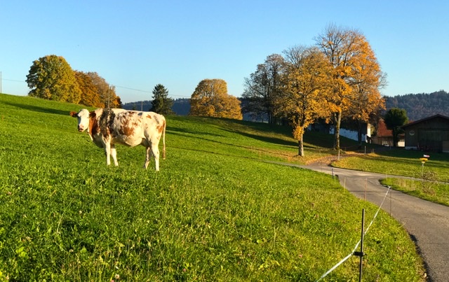 B2A3926F-15EA-426D-8C45-E1E467A02D9E