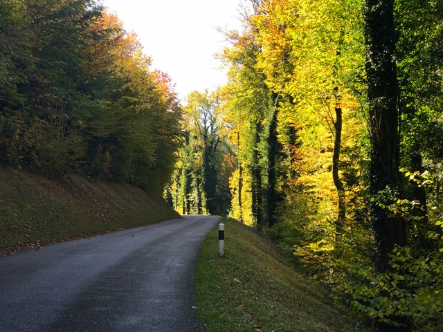 C771729E-4C2B-44BD-A2D3-8EEF49726B5E