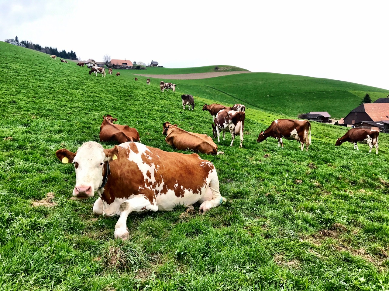 062E1955-986E-4940-B496-24F6957CE8E1