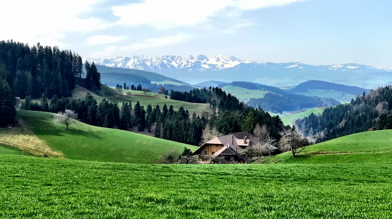 799510E2-9AFC-4020-8A31-424AFC1CA808