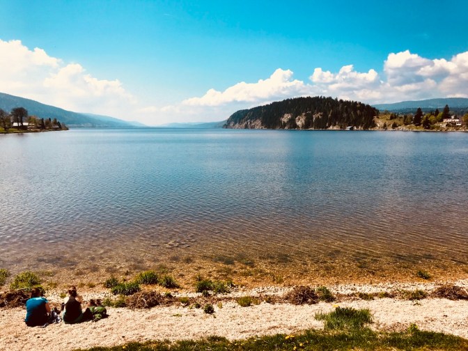 8F5EAA87-3F8D-495F-836B-8576DDA7F869