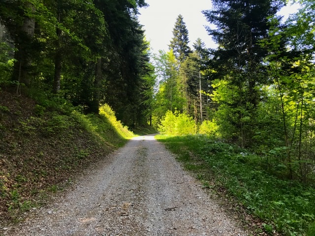 CF4FA101-F3C6-4307-B1B7-D8625F8A756B