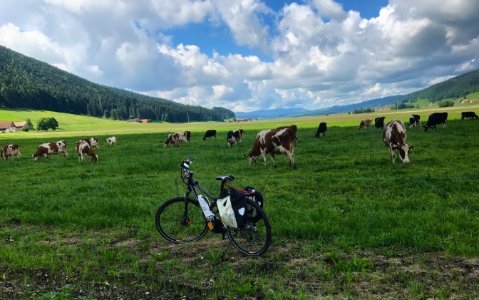 079B56F5-5AA3-473B-8443-61F4E697E7BE