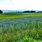 Route 7: Section  5 – cycling Fleurier to Vallorbe, Switzerland