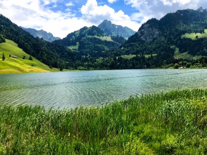 30479E78-CCD9-4D94-AB9E-72EA4F0DC5A1