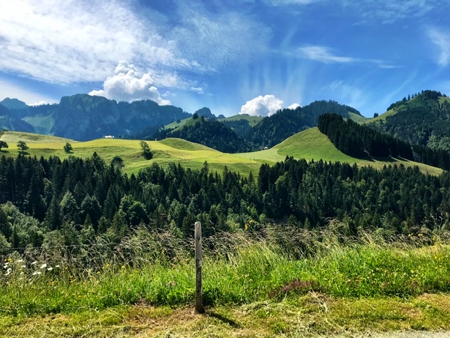 65FF30CF-30C4-471F-AE15-E61FEB9410F3