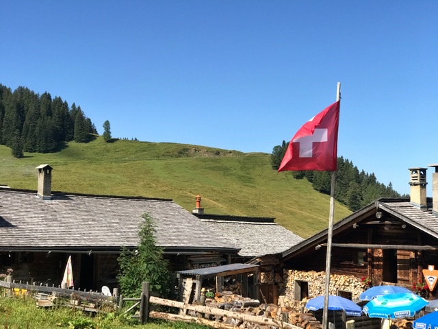 A7D50618-ECF9-44FD-AC2F-DDA7E466D042