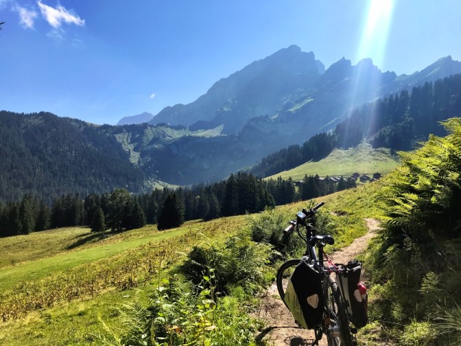 BB54D49C-A22A-4148-9F43-B365026B47EB