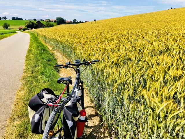 C7B6A454-08D6-4544-A948-60772A3D0421