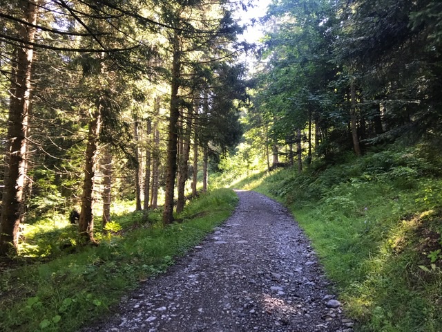 EB843727-20B3-48EE-98E1-B0C92F66DCA0