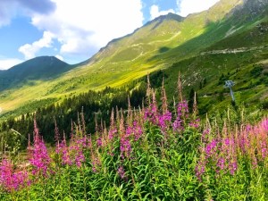 8D47F53F-34E2-4350-907E-CA4B49A7362A