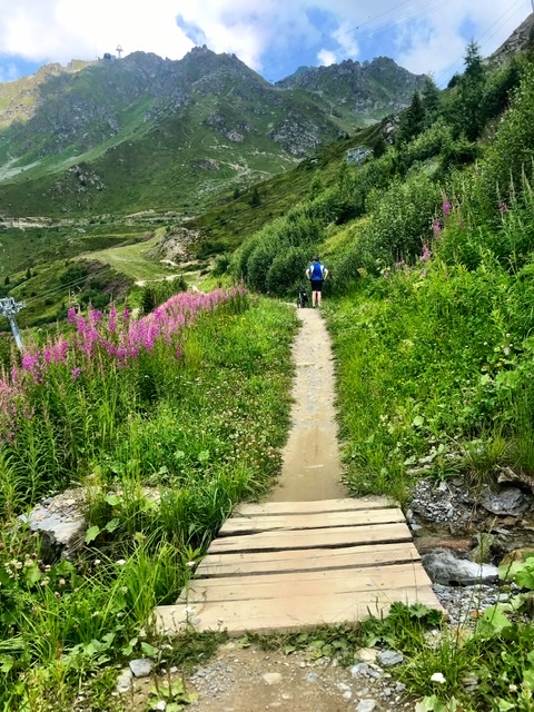 D9E2DC29-04B9-46AB-9C95-B67A7F95C9BA